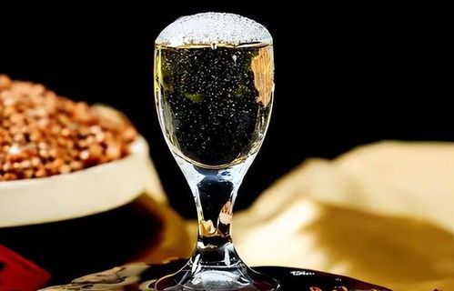 低價(jià)淘好酒有門道 避開即飲型，記住三要點(diǎn)，便宜也能喝到好滋味